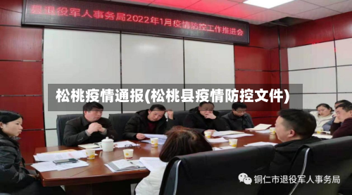 松桃疫情通报(松桃县疫情防控文件)-第2张图片