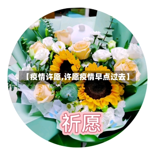 【疫情许愿,许愿疫情早点过去】-第3张图片
