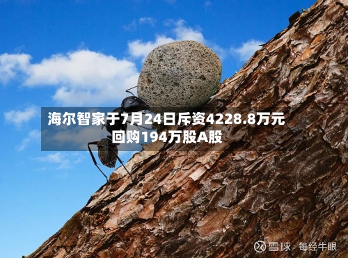 海尔智家于7月24日斥资4228.8万元回购194万股A股