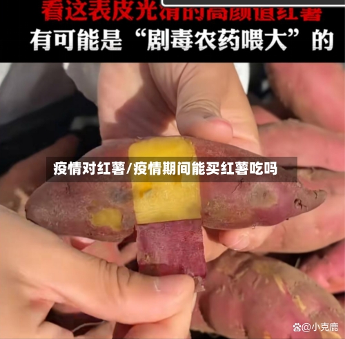 疫情对红薯/疫情期间能买红薯吃吗
