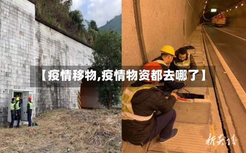 【疫情移物,疫情物资都去哪了】-第2张图片