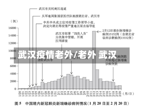 武汉疫情老外/老外 武汉