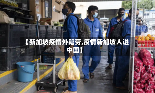 【新加坡疫情外籍劳,疫情新加坡人进中国】-第2张图片