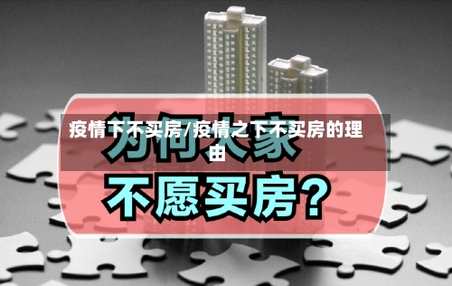 疫情下不买房/疫情之下不买房的理由