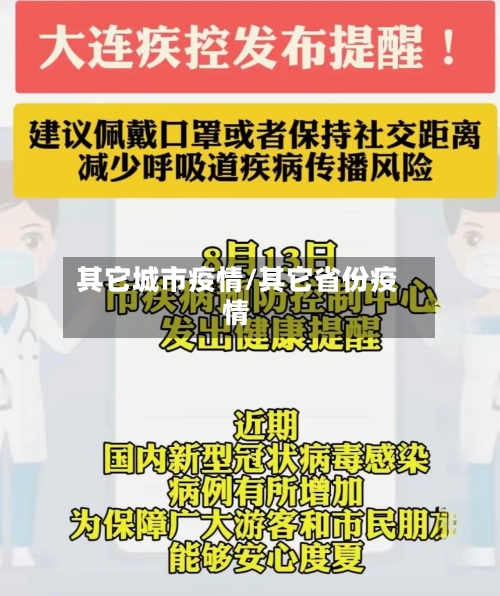 其它城市疫情/其它省份疫情