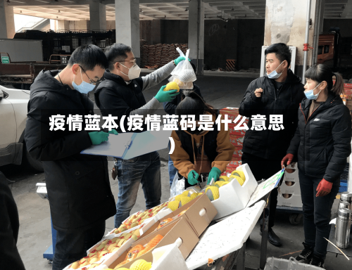 疫情蓝本(疫情蓝码是什么意思)-第2张图片
