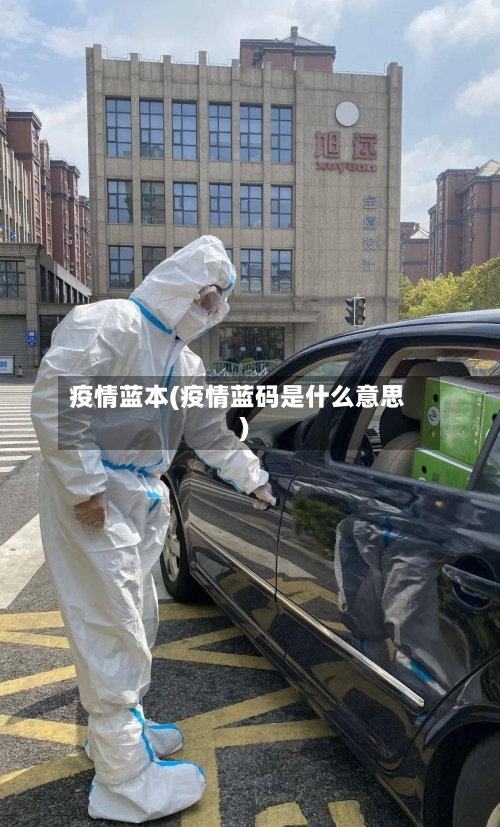 疫情蓝本(疫情蓝码是什么意思)