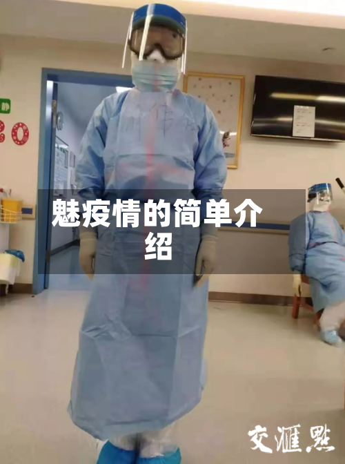 魅疫情的简单介绍