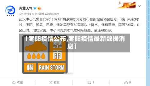 【枣阳疫情公布,枣阳疫情最新数据消息】-第3张图片