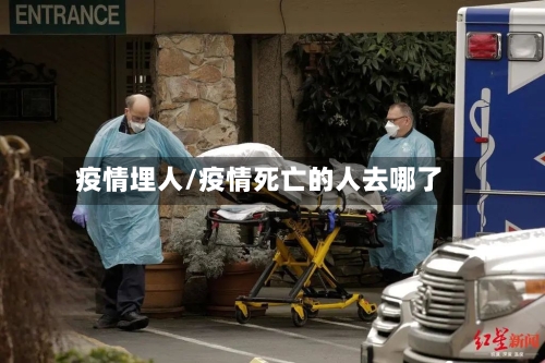 疫情埋人/疫情死亡的人去哪了