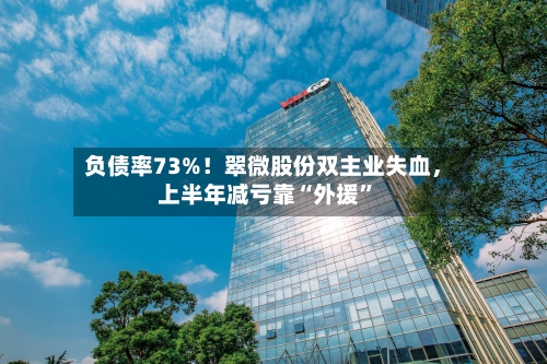 负债率73%！翠微股份双主业失血	，上半年减亏靠“外援”-第3张图片