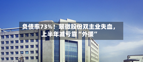 负债率73%！翠微股份双主业失血	，上半年减亏靠“外援	”-第2张图片