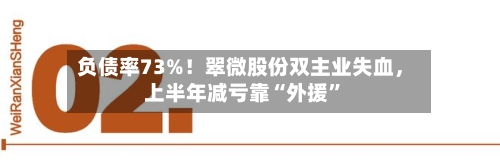 负债率73%！翠微股份双主业失血，上半年减亏靠“外援”