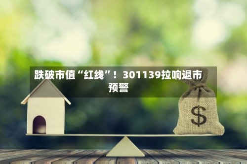 跌破市值“红线”！301139拉响退市预警-第2张图片