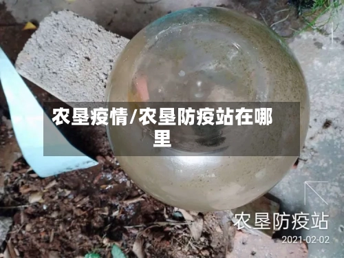 农垦疫情/农垦防疫站在哪里-第2张图片