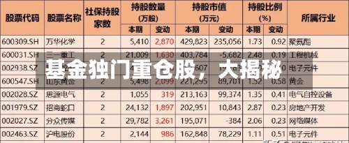 基金独门重仓股，大揭秘-第3张图片