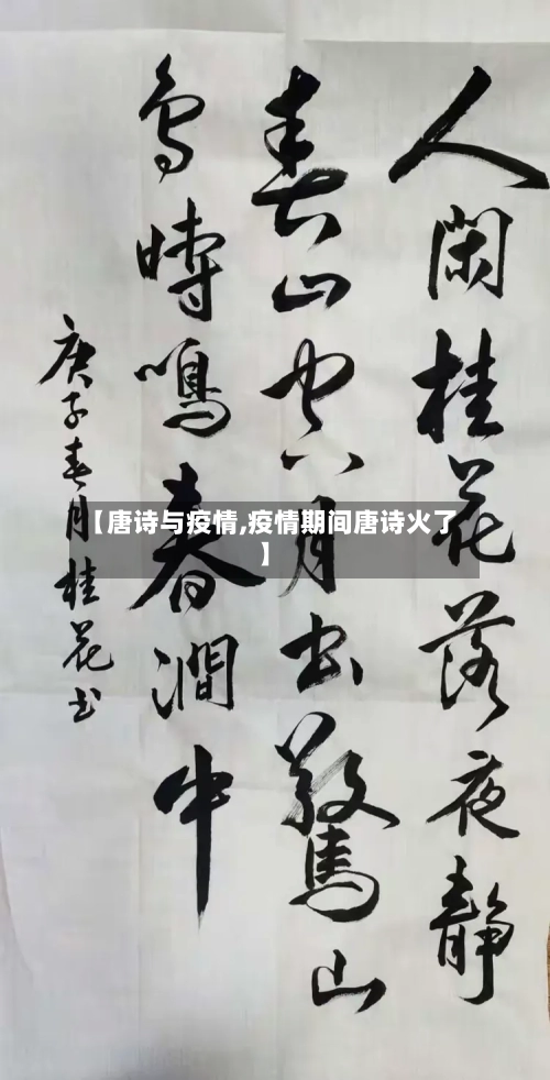 【唐诗与疫情,疫情期间唐诗火了】