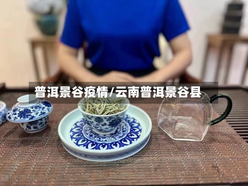普洱景谷疫情/云南普洱景谷县-第2张图片