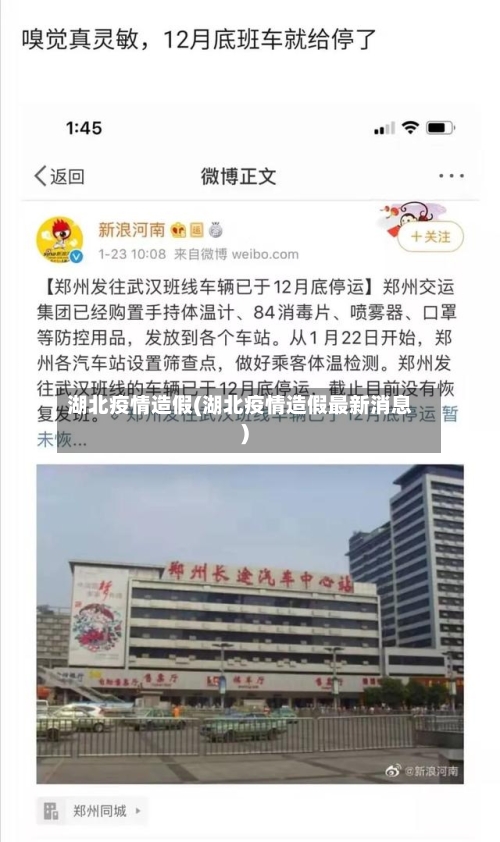 湖北疫情造假(湖北疫情造假最新消息)-第2张图片