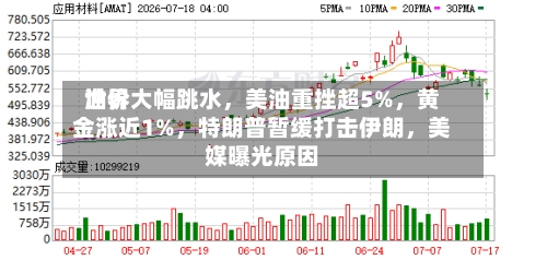 世界油价大幅跳水，美油重挫超5%，黄金涨近1%，特朗普暂缓打击伊朗，美媒曝光原因