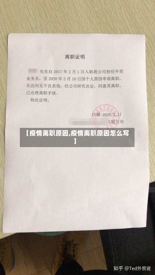 【疫情离职原因,疫情离职原因怎么写】-第2张图片