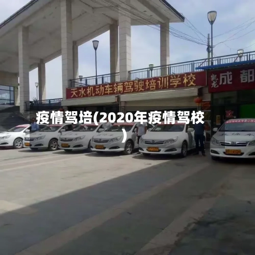 疫情驾培(2020年疫情驾校)-第3张图片