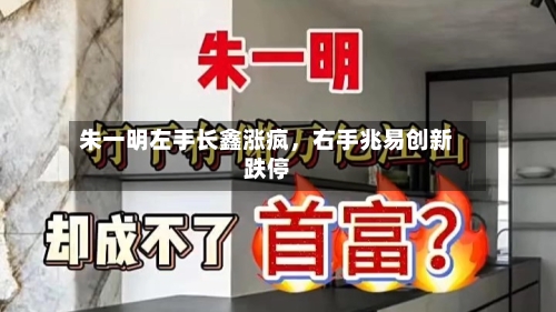 朱一明左手长鑫涨疯，右手兆易创新跌停-第2张图片