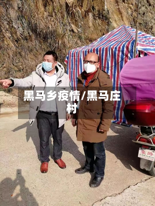 黑马乡疫情/黑马庄村