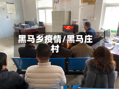 黑马乡疫情/黑马庄村-第2张图片