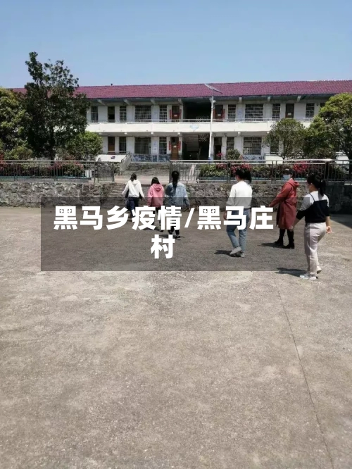 黑马乡疫情/黑马庄村-第3张图片