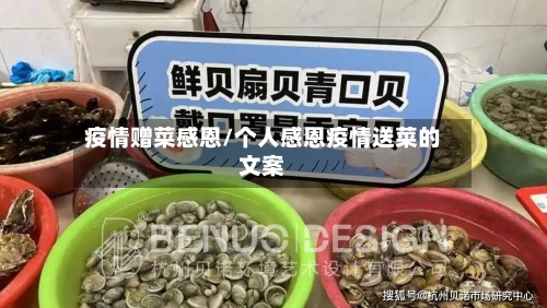 疫情赠菜感恩/个人感恩疫情送菜的文案-第2张图片