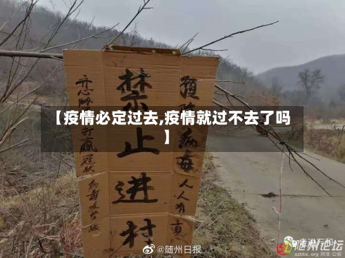 【疫情必定过去,疫情就过不去了吗】-第2张图片