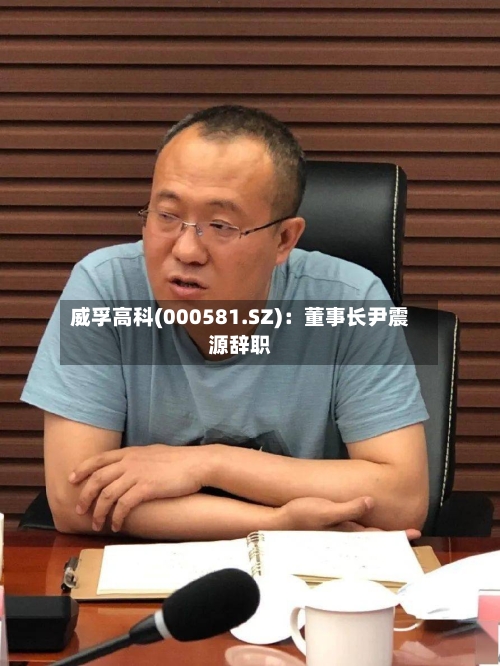 威孚高科(000581.SZ)：董事长尹震源辞职