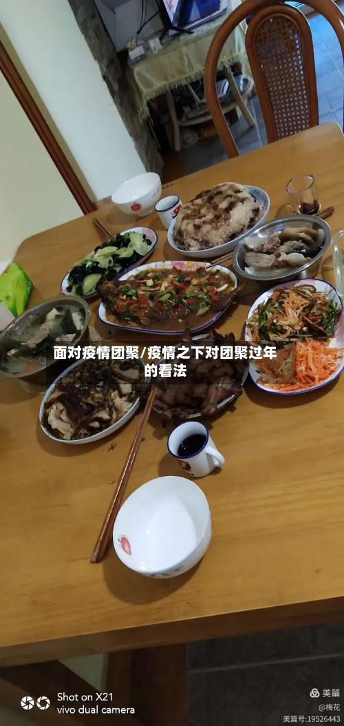 面对疫情团聚/疫情之下对团聚过年的看法