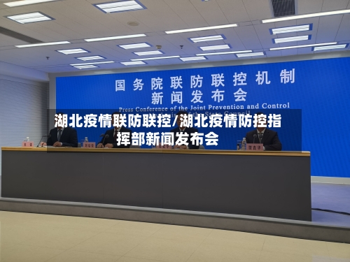 湖北疫情联防联控/湖北疫情防控指挥部新闻发布会
