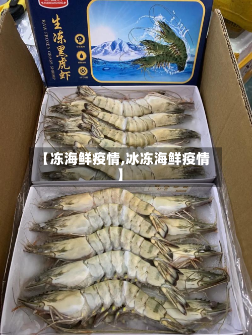 【冻海鲜疫情,冰冻海鲜疫情】