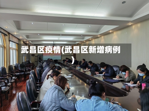 武昌区疫情(武昌区新增病例)