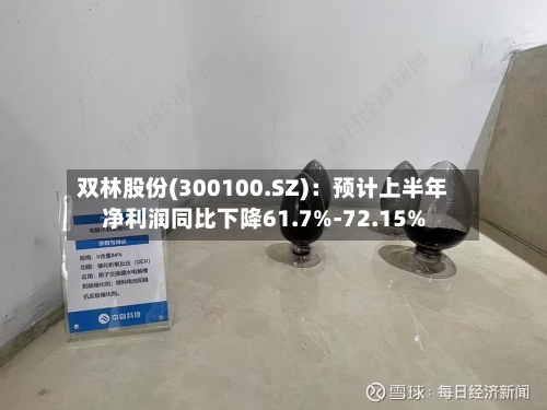 双林股份(300100.SZ):预计上半年净利润同比下降61.7%-72.15%-第3张图片