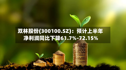 双林股份(300100.SZ):预计上半年净利润同比下降61.7%-72.15%-第2张图片