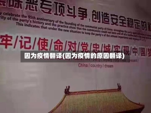 因为疫情翻译(因为疫情的原因翻译)