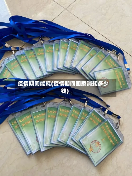 疫情期间能耗(疫情期间国家消耗多少钱)