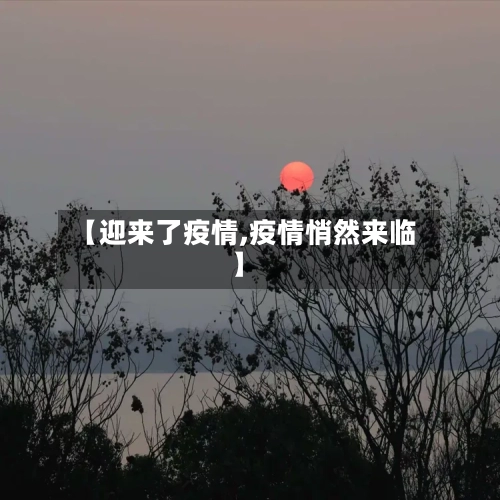 【迎来了疫情,疫情悄然来临】-第3张图片