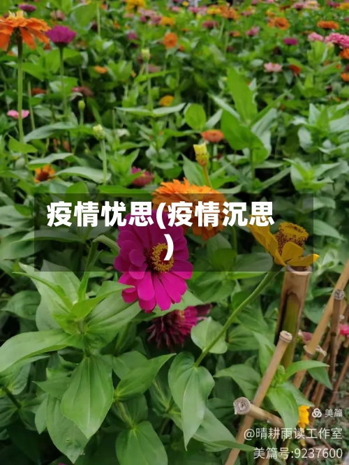 疫情忧思(疫情沉思)-第2张图片