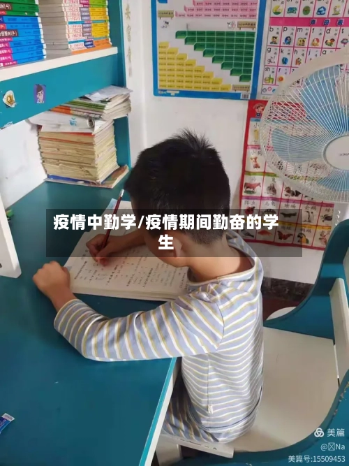 疫情中勤学/疫情期间勤奋的学生