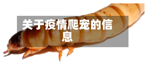关于疫情爬宠的信息