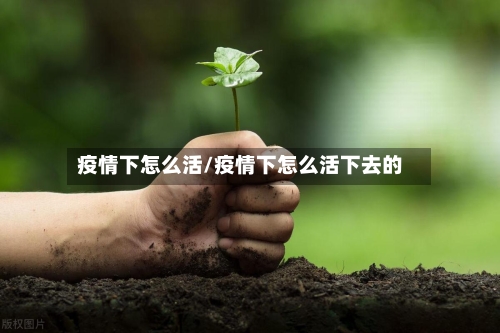 疫情下怎么活/疫情下怎么活下去的-第3张图片