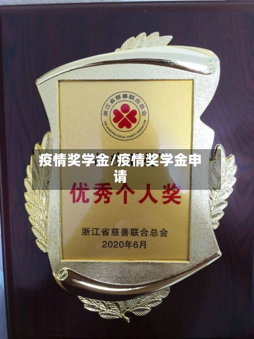 疫情奖学金/疫情奖学金申请