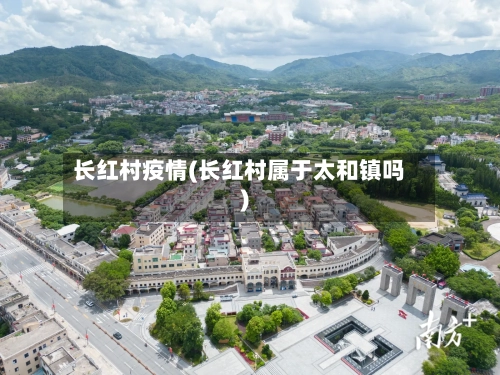 长红村疫情(长红村属于太和镇吗)-第2张图片