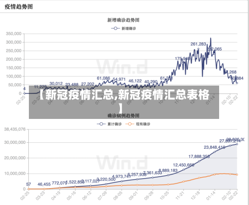 【新冠疫情汇总,新冠疫情汇总表格】-第2张图片