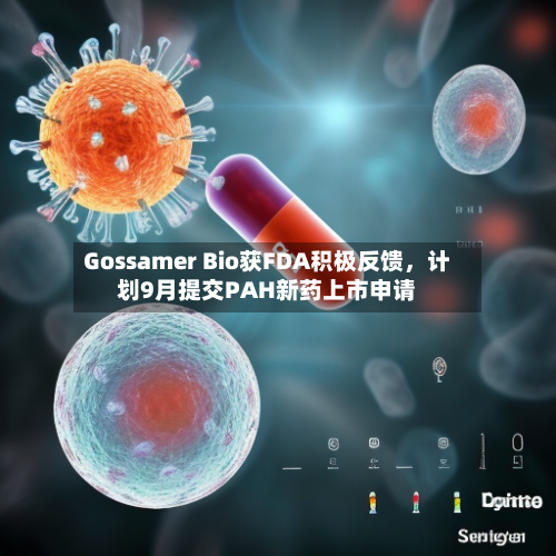 Gossamer Bio获FDA积极反馈，计划9月提交PAH新药上市申请-第2张图片